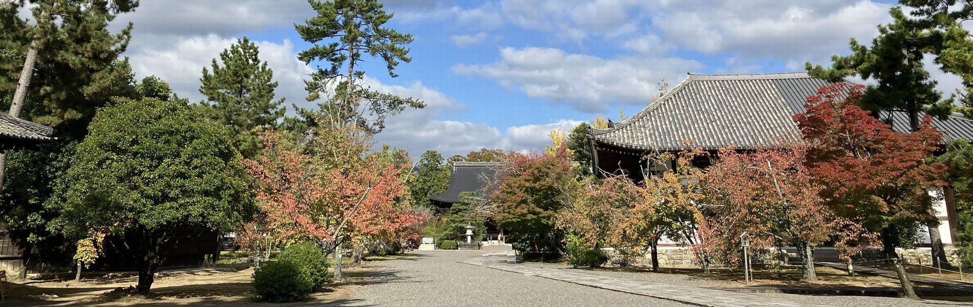 京都高齢者大学校