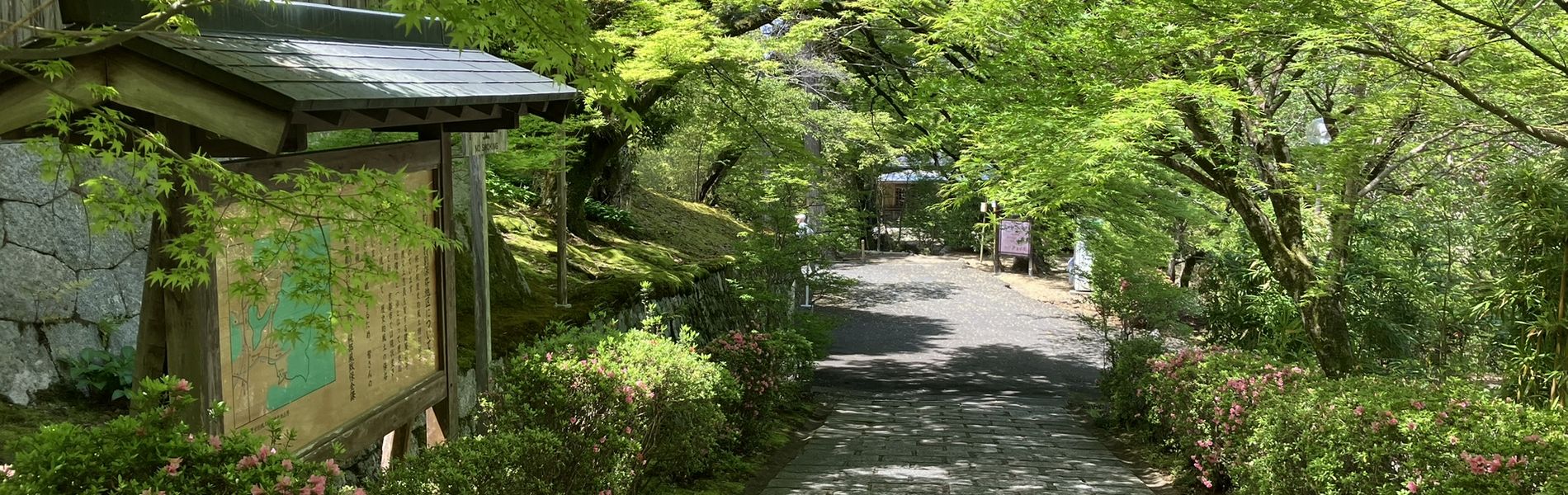 京都高齢者大学校