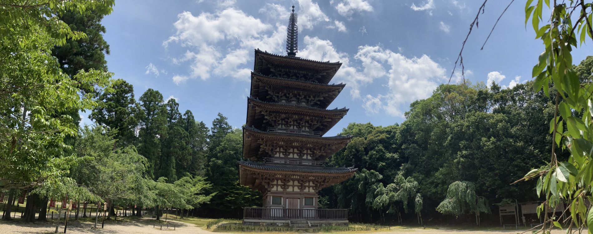 京都高齢者大学校