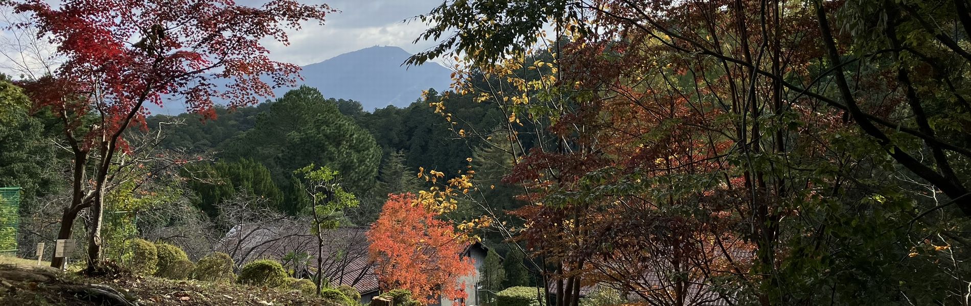 京都高齢者大学校