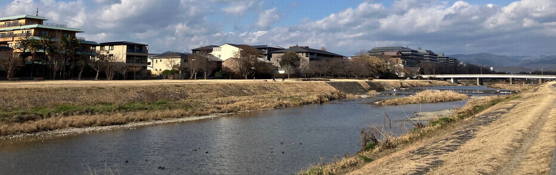 京都高齢者大学校